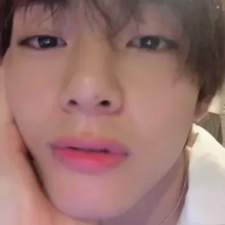 🐻 f738d23c V K-Pop, Sänger, Person, Mann, Idol, Koreanisch, Promi telegram sticker