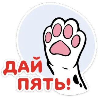 🤚 07407185 ДАЙ ПЯТЬ! Tos, Cakar, Kucing, High five, Rusia, Teks, Sapaan, Hewan telegram sticker