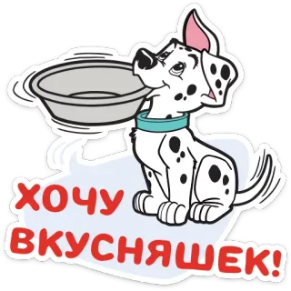 🍔 34b6512e ХОЧУ ВКУСНЯШЕК! anjing, dalmatian, makanan, mangkuk, imut, stiker telegram sticker