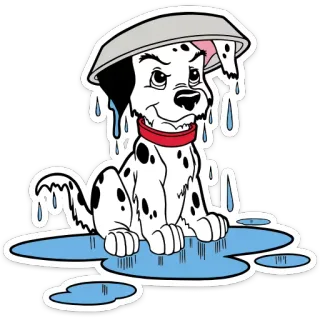 ☔️ 4660bd7a anjing, dalmatian, kartun, lucu, binatang, air, genangan air, lucu telegram sticker
