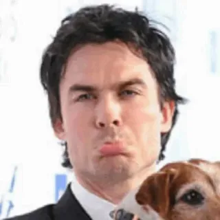 ☹️ d2a3e5c5 potret, pria, anjing, selebriti, aktor whatsapp sticker