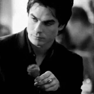 🖤 cd10347b Damon Salvatore The Vampire Diaries ma cà rồng, hoa hồng, Ian Somerhalder, chương trình TV telegram sticker