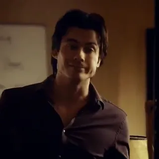 🍷 656bd3b4 Damon Salvatore The Vampire Diaries ヴァンパイア, テレビシリーズ, イアン・サマーホルダー, ハンサム telegram sticker