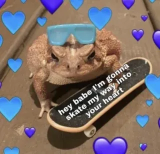 🥰 a6fd136e hey babe I'm gonna skate my way into your heart rana, rospo, skateboard, cuore, amore, occhiali da sole, carino telegram sticker