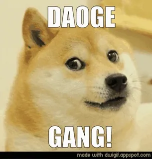 😄 16a26801 DAO GE GANG! doge, 表情包, 狗, 帮派 telegram sticker