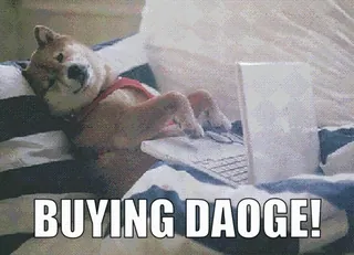 😀 80cc3d46 BUYING DAOGE! 狗, 柴犬, 加密货币, 表情包, 多吉, 网络文化, 购买 telegram sticker