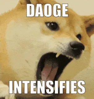 🤑 ae12b584 Doge DAOOGE INTENSIFIES 多吉, 梗, 狗, 加强 telegram sticker