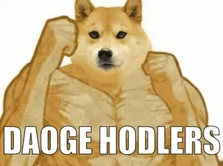 🤓 d51fa09f DAOEGE HODLERS doge, 加密货币, 囤币, 表情包, 网络迷因, 肌肉Doge telegram sticker