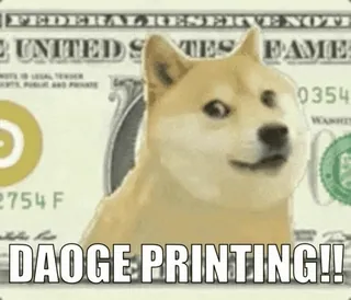 😇 d7ddf0ef DAOEGE PRINTING!! doge, 表情包, 加密货币, 货币, 钱, 美元, 金融 telegram sticker