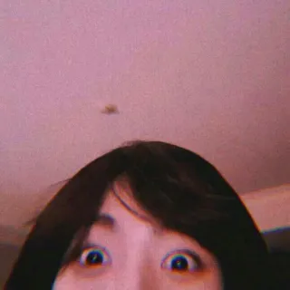 🦋 1a992c80 telegram sticker