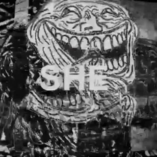 ⬛️ dd9cb6e6 SHE 表情包, 梗, 搞笑, 网络, 她 whatsapp sticker