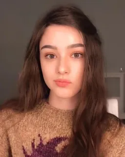 🌸 acac155d portrait, woman, brown hair, selfie, sweater, girl telegram sticker