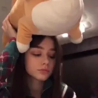 ➰ ed7611b8 ผู้หญิง, น่ารัก, ผู้หญิง, ใบหน้า, ในร่ม telegram sticker