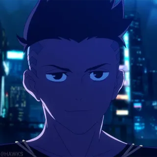 🦾 973c57b8 @HAWKS whatsapp sticker