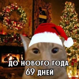 🎄 759b943d ДО НОВОГО ГОДА 69 дней mèo, giáng sinh, năm mới, mũ ông già noel, đếm ngược, meme, ngày lễ telegram sticker