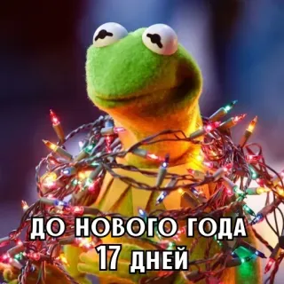 🎄 c426d3da Kermit the Frog ДО НОВОГО ГОДА 17 ДНЕЙ Kermit, Giáng Sinh, Ngày lễ, Năm mới, Ếch, Đèn, Đếm ngược telegram sticker
