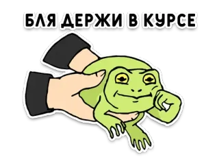 🐸 ac707fe9 БЛЯ ДЕРЖИ В КУРСЕ Frosch, beleidigend, russisch, Obszönität, Meme whatsapp sticker