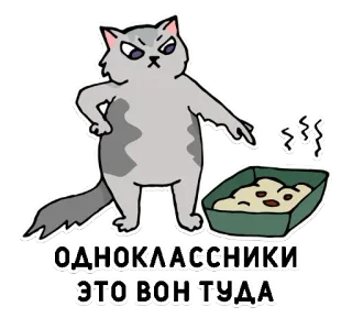 😼 b41ffa0e ОДНОКЛАССНИКИ ЭТО ВОН ТУДА Katze, Aufkleber, russisch, lustig, Humor, Meme whatsapp sticker