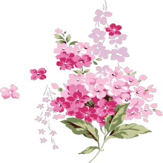 🌷 56dad0e1 kwiaty, różowy, kwiatowy, natura, bukiet, kwitnienie, rozkwit telegram sticker