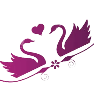 🕊 59c88706 łabędzie, serce, miłość, ptaki, kwiat telegram sticker