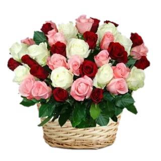 🌺 7c308dc5 kwiaty, róże, bukiet, kosz, kompozycja kwiatowa, prezent, święto telegram sticker