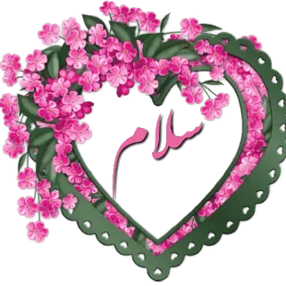 🌹 8d612456 سلام kwiat, serce, różowy, powitanie telegram sticker