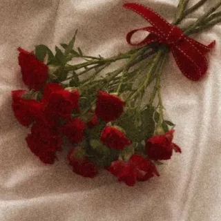 ❤️ c6d33eb8 꽃, 장미, 빨간색, 부케, 꽃꽂이, 빨간 리본, 선물, 로맨스 telegram sticker