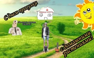 🚑 080867ed С днем прогулки с домашними растениями! Вы лучшие медики страны! 俄语, 植物, 医生, 太阳, 快乐 telegram sticker