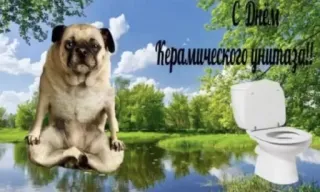🚽 6ab5c248 С Днем Керамического унитаза!! 巴哥犬, 厕所, 陶瓷, 搞笑, 狗, 自然, 笑话 telegram sticker