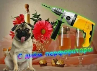 🛠 850cc722 С днем перфоратора! 哈巴狗, 狗, 钻头, 庆祝, 幽默, 俄语, 问候 telegram sticker