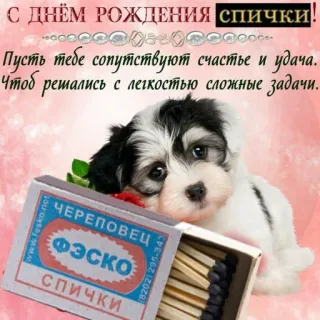 🕯 9e62364f С ДНЁМ РОЖДЕНИЯ СПИЧКИ!
Пусть тебе сопутствуют счастье и удача.
Чтоб решались с легкостью сложные задачи.
ЧЕРЕПОВЕЦ
ФЭСКО
СПИЧКИ 生日快乐, 火柴, 小狗, 狗, 问候, 庆祝, Fesko telegram sticker