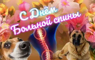 😧 b9fd8f6f С Днём больной спины 狗, 脊柱, 解剖, 背痛, 问候 telegram sticker