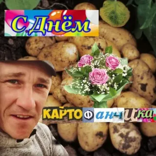 🥔 ed3afef9 С Днём КАРТОФАНЧИКА 问候, 土豆, 花, 男人, 庆祝 telegram sticker