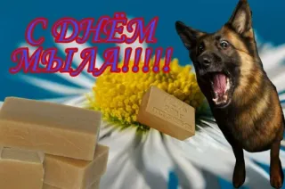 🧼 f5fd6311 С ДНЕМ МЫЛА!!!! 肥皂, 狗, 生日快乐, 庆祝, 德国牧羊犬, 雏菊, 花, 俄语 telegram sticker