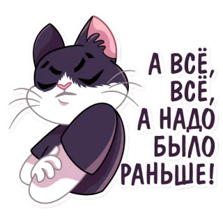 🙅‍♂️ 1424f4b7 А ВСЁ, ВСЁ, А НАДО БЫЛО РАНЬШЕ! kot, rosyjski, tekst, fraza, kreskówka telegram sticker