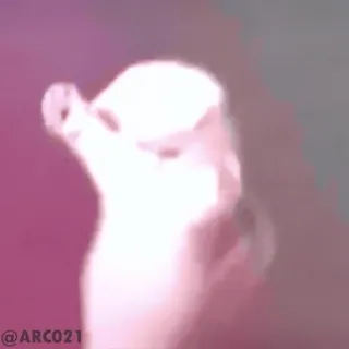 👍 3fbc5bff telegram sticker