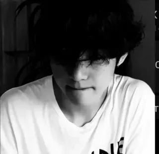 🦅 f90177c6 telegram sticker