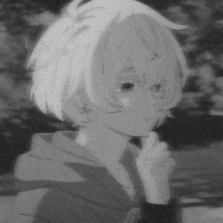 🌪 79d43886 whatsapp sticker