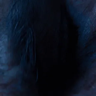 👁‍🗨 bf405acc telegram sticker