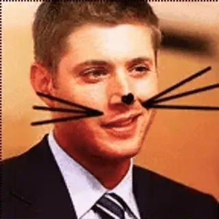 😻 16cf090b Dean Winchester Supernatural Katze, Nase, Schnurrhaare, Dean, Winchester telegram sticker