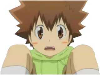 😳 6c036105 Tsunayoshi Sawada Katekyo Hitman Reborn! Anime, Mangá, Tsunayoshi Sawada, Reborn, Hitman Reborn telegram sticker