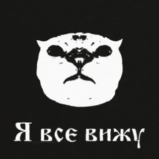 😐 b1306622 Я все вижу 猫, ミーム, ロシア, 見ている, 目 telegram sticker