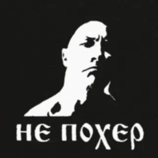 🤨 b82e21f1 НЕ ПОХЕР 態度, 表情, 白黒, ステートメント, 無関心ではない telegram sticker