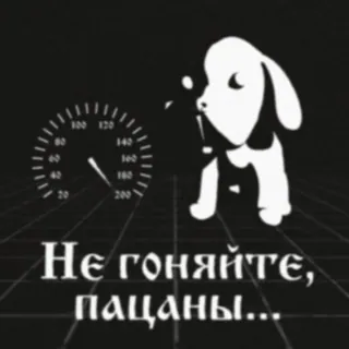 🤭 d647f445 Не гоняйте, пацаны... 犬, スピードメーター, テキスト, ロシア語, 警告, 速度超過禁止 telegram sticker