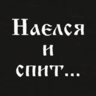 😴 efa15888 Наелся
и
спит... 睡眠, 面白い, 動物, フレーズ, 食べる, 休憩 telegram sticker