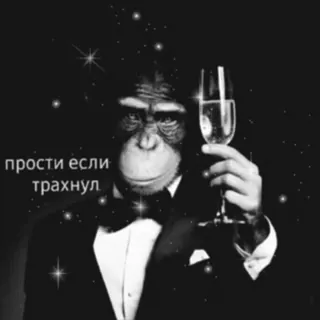 🍷 d4f9cf11 прости если трахнул monyet, sampanye, setelan, pesta, lucu, menyinggung telegram sticker