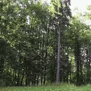 Delaylamy @delaytelegy telegram stickers