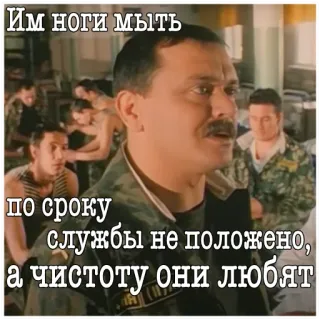 🦵 253a159c Им ноги мыть по сроку службы не положено, а чистоту они любят military, army, russian, soldier, cleanliness whatsapp sticker