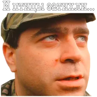 😰 b91d9262 И птицы затихли... meme, sticker, man, russian, birds, silence whatsapp sticker
