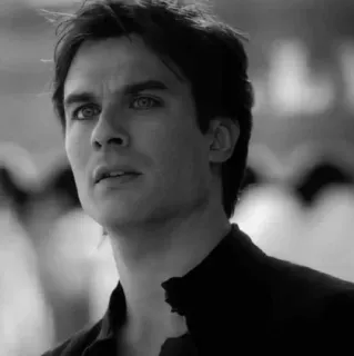 ▪️ 025a81ce Damon Salvatore The Vampire Diaries Damon Salvatore, The Vampire Diaries, Ian Somerhalder, vampir, acara TV, hitam putih, potret telegram sticker